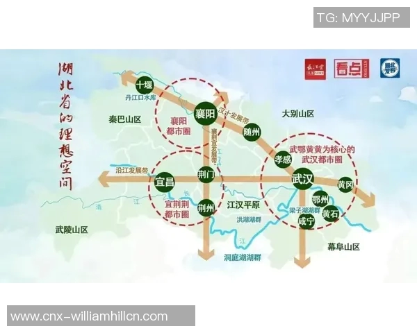 大田地铁与釜山运输的比较分析及其对城市发展的影响探讨